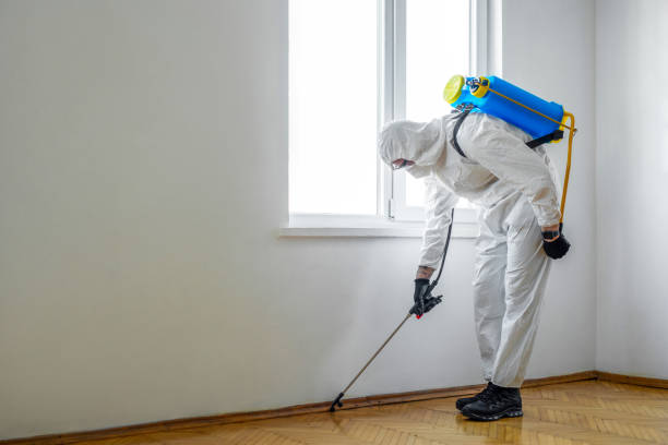 Best Affordable Pest Control Services  in Claypool, AZ